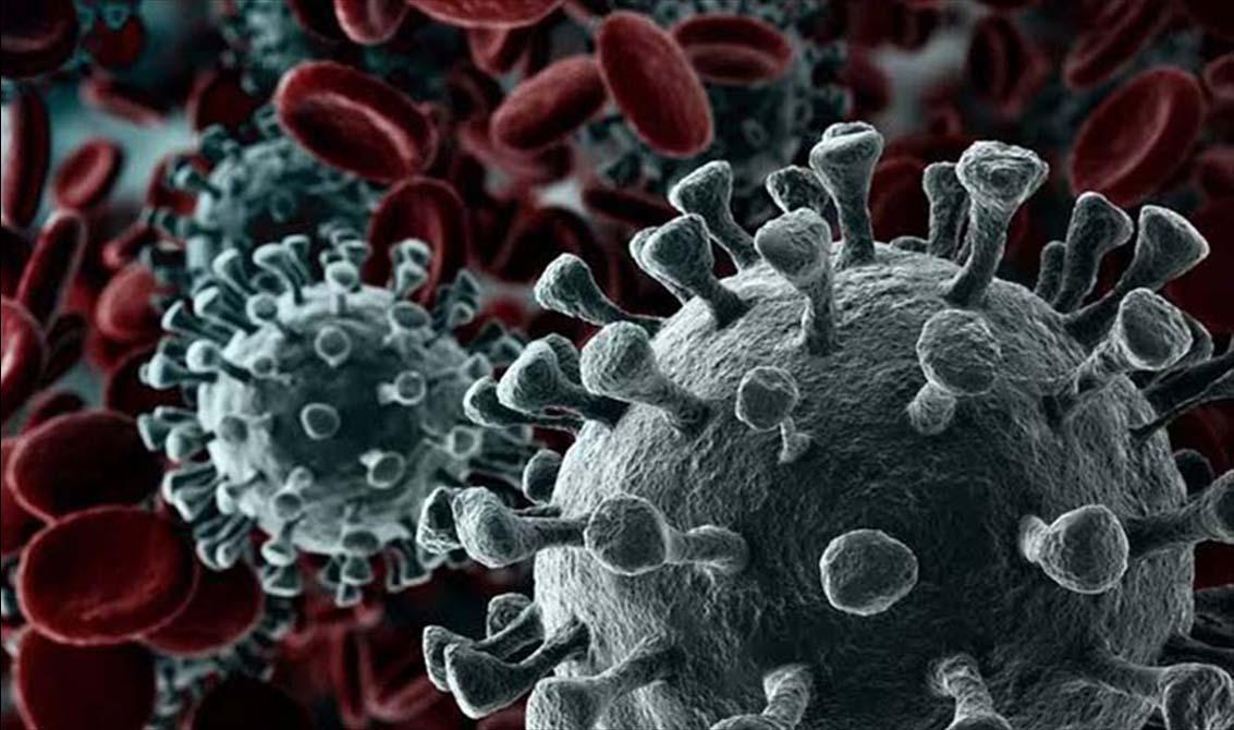 Que cuidados tomar durante a pandemia? 