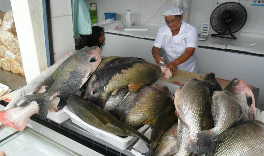 Prefeitura reforça fiscalização para coibir irregularidades na venda de peixes