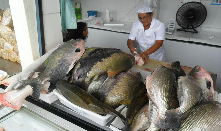 Prefeitura reforça fiscalização para coibir irregularidades na venda de peixes