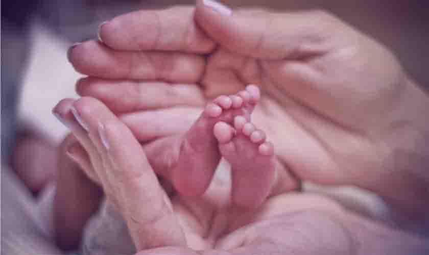 Cartilha traz informações sobre a ampliação da licença-maternidade