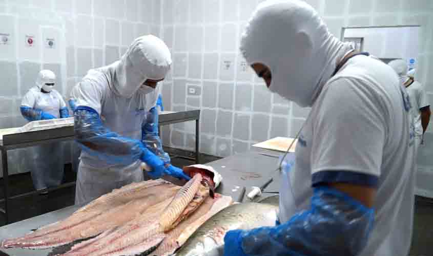 Indústria de Rondônia recebe certificação e amplia mercado de peixes para todo o Brasil