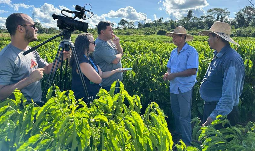 Dia do Jornalista destaca papel da informação na democracia