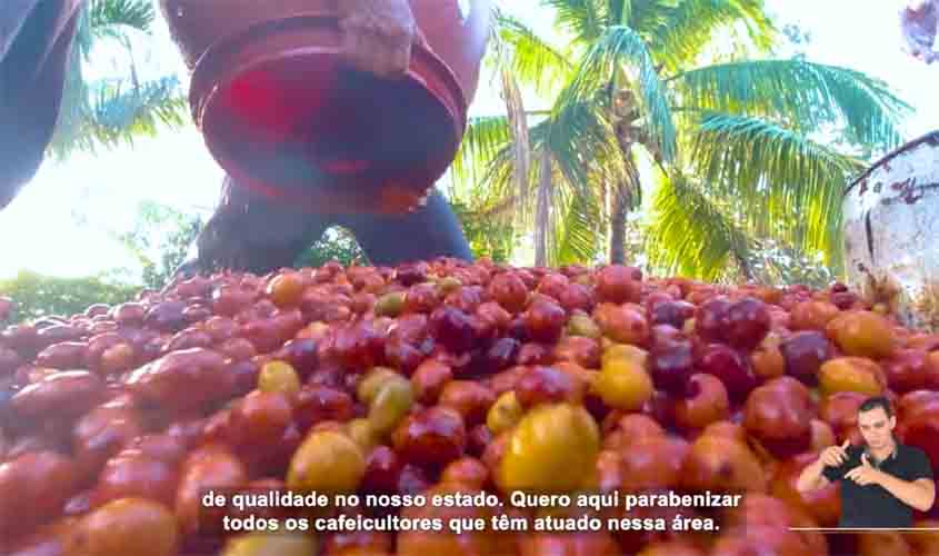 Acessibilidade: Embrapa disponibiliza documentário sobre os Robustas Amazônicos com audiodescrição, libras e legendas