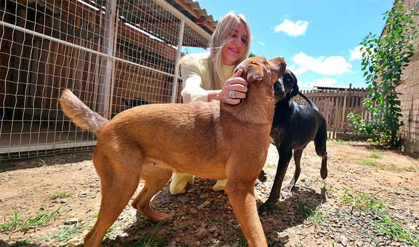 Ieda Chaves é autora da Lei que proíbe o confinamento, acorrentamento e alojamento inadequado de pets