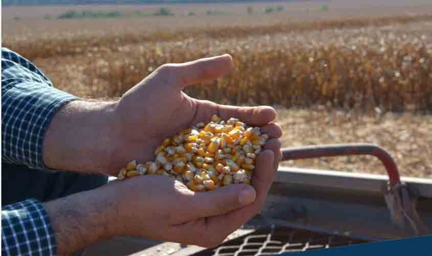 O Valor Bruto da Produção Agropecuária de Rondônia deve ser quase 13% maior em 2021