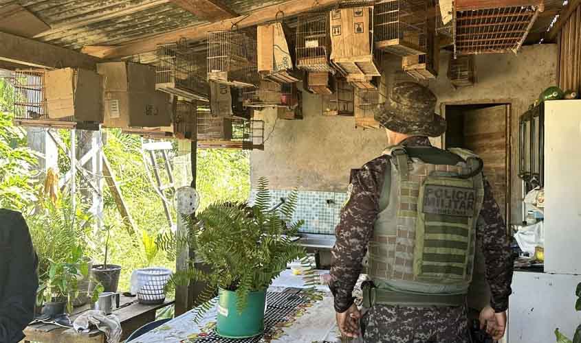 Ação integrada resgata 24 aves silvestres mantidas em cativeiro ilegal em Machadinho d’Oeste