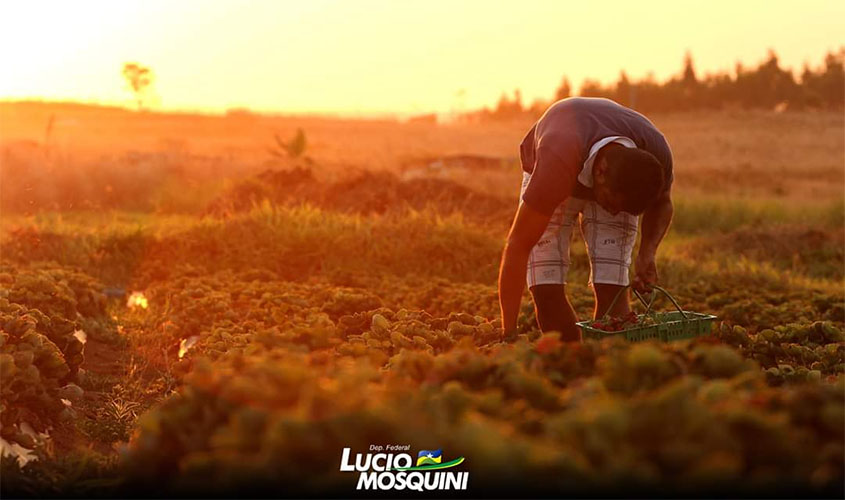 Com emenda de Mosquini, ministra da agricultura e governador garantem força tarefa para o Incra de Rondônia, 35 técnicos serão contratados