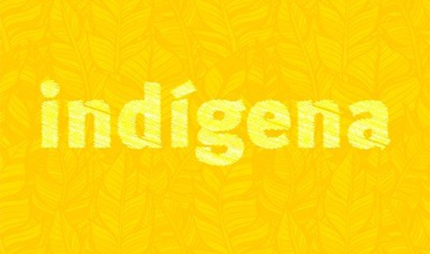 MPF cobra da Secretaria Especial de Saúde Indígena adequação dos planos de contingência contra o coronavírus