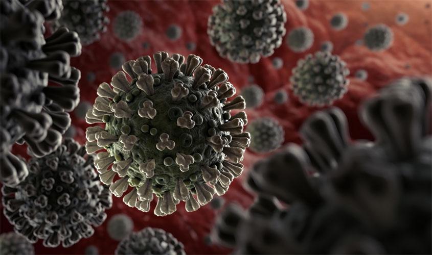 MP e TCE realizam avaliação sobre Call Center do município de Porto Velho para demandas de casos de COVID-19