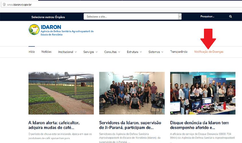 Idaron orienta veterinários quanto a notificação de doenças