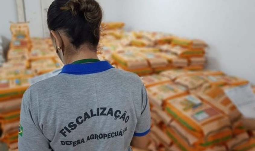 Idaron faz coleta de amostra de sementes de pastagem para atestar a qualidade de germinação