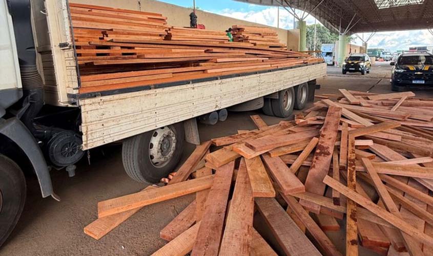 PRF apreende 11 metros de madeira sem licença 