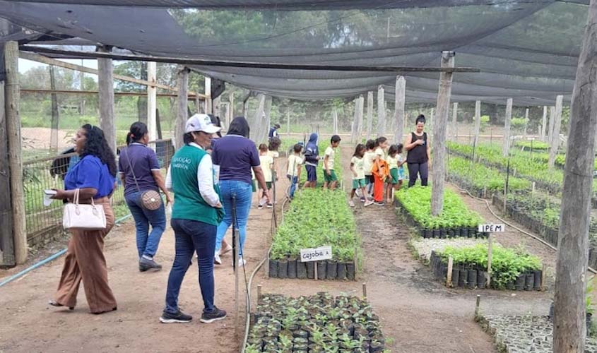 Estudantes da Educação Básica visitam o Viveiro Municipal 