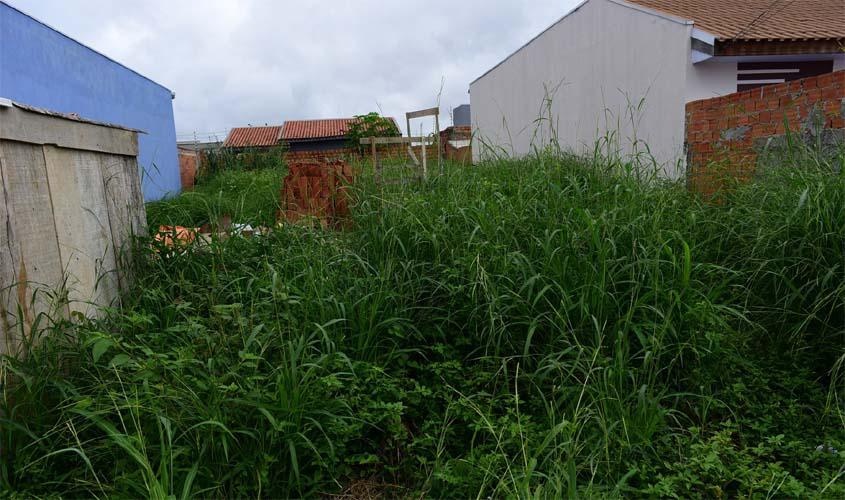 Proprietários devem manter terrenos baldios limpos
