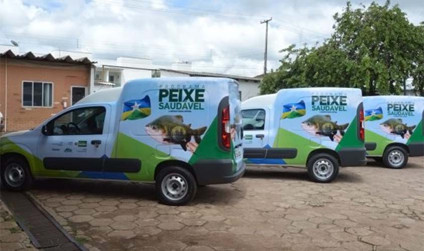 Emater Rondônia encerra 2019 com metas executadas e ampla reestruturação