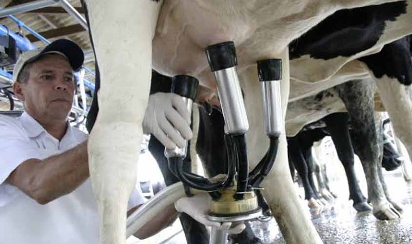 Preço do leite ameaçado - Lucio Mosquini critica retirada da tarifa de importação de leite europeu