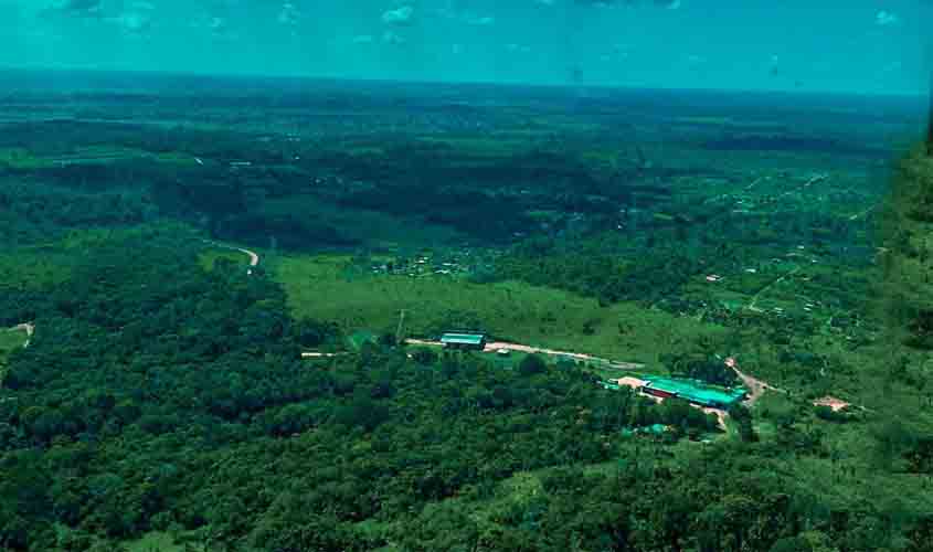 Emater promove webinar para apresentar propostas a equipe técnica; iniciativa visa preservar florestas