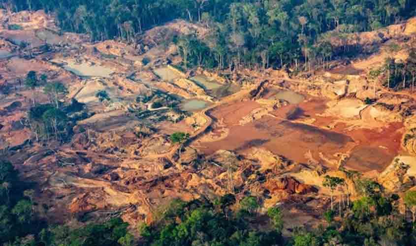 Garimpo destruiu área equivalente a 6 mil campos de futebol na Amazônia; Greenpeace cobra auditoria da Agência Nacional de Mineração