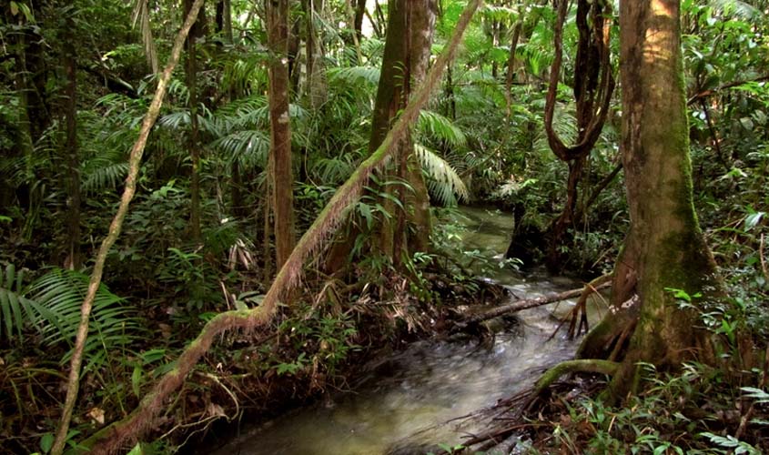 Justiça Militar mantém prisão de colombiano após confronto em Manaus