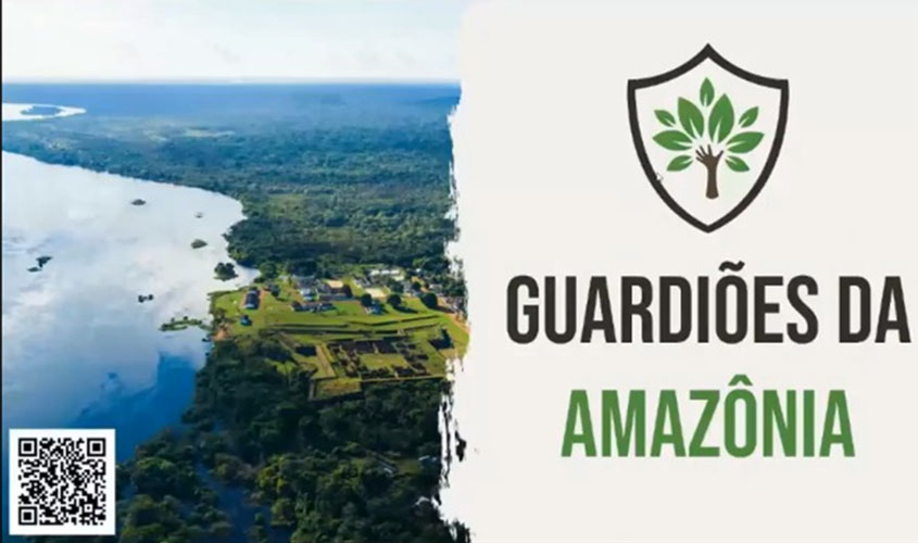 Aplicativo para combater queimadas já está disponível para população 