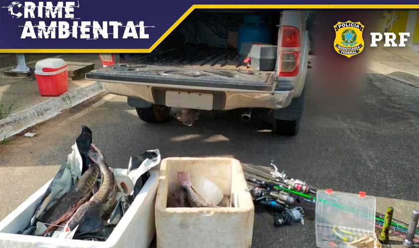 Em Vilhena/RO, PRF identifica transporte ilegal de pescado