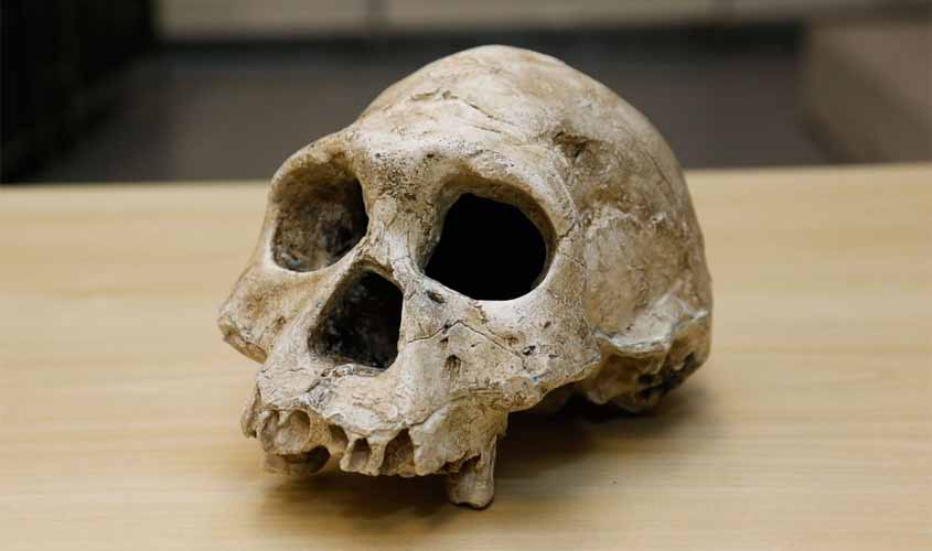 Descoberta de brasileiros pode mudar história da humanidade