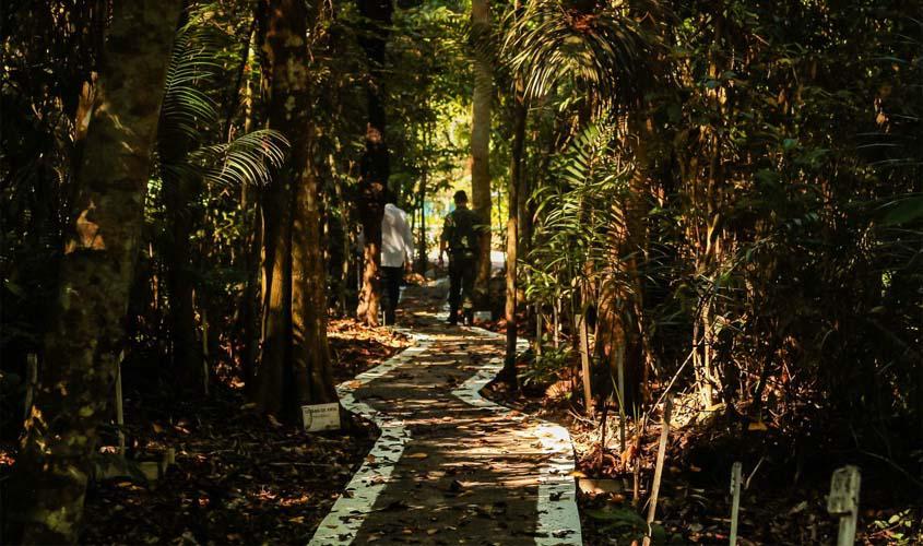 Aos 34 anos, Batalhão de Polícia Ambiental é imprescindível no combate a crimes contra a natureza