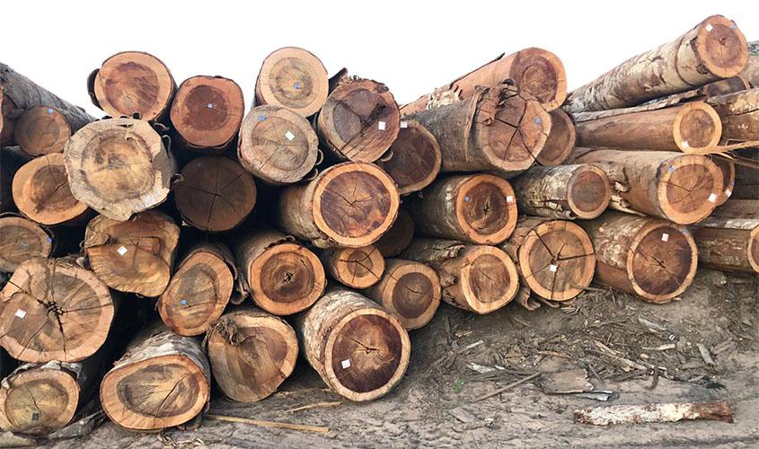 Polícia Federal realiza Operação Êxodo em Rondônia