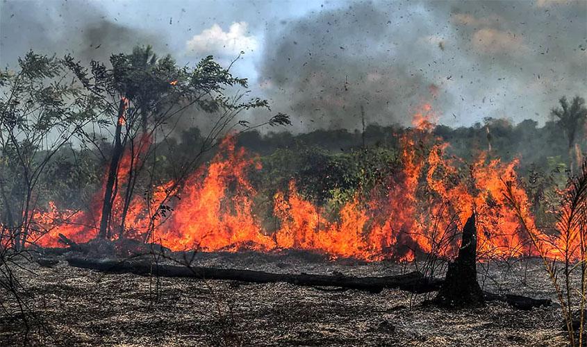 MP e parceiros intensificam ações de combate a queimadas para evitar agravamento da pandemia