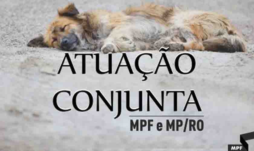 MPF e MP/RO pedem informações ao Conselho de Veterinária sobre denúncia contra ação voluntária
