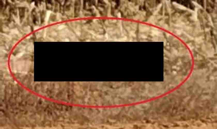 Identificado assaltante que morreu durante perseguição policial