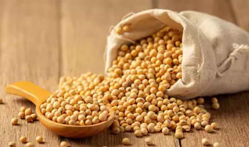 Soja e trigo têm queda no Paraná e no Rio Grande do Sul nesta terça-feira (8)