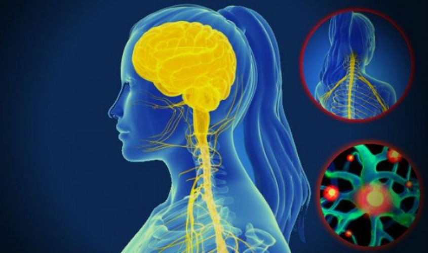 Esclerose múltipla já afeta 40 mil brasileiros