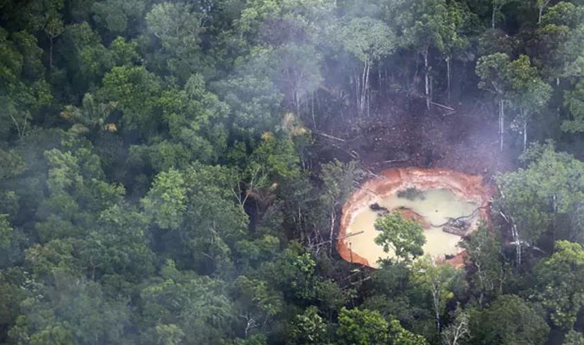 'Ibama em Rondônia manda mais do que Bolsonaro', diz jornalista em sua coluna