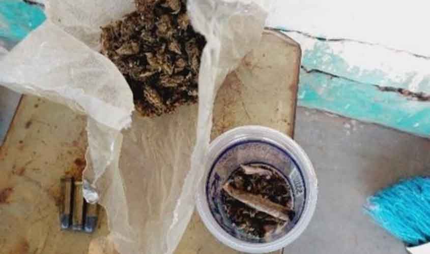 Polícia Militar atende ocorrência de violência doméstica, apreende drogas e munições 