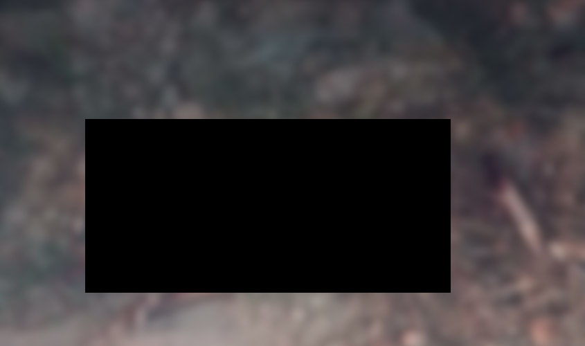 Mulher é brutalmente assassinada a pauladas em distrito de Porto Velho e marido é preso