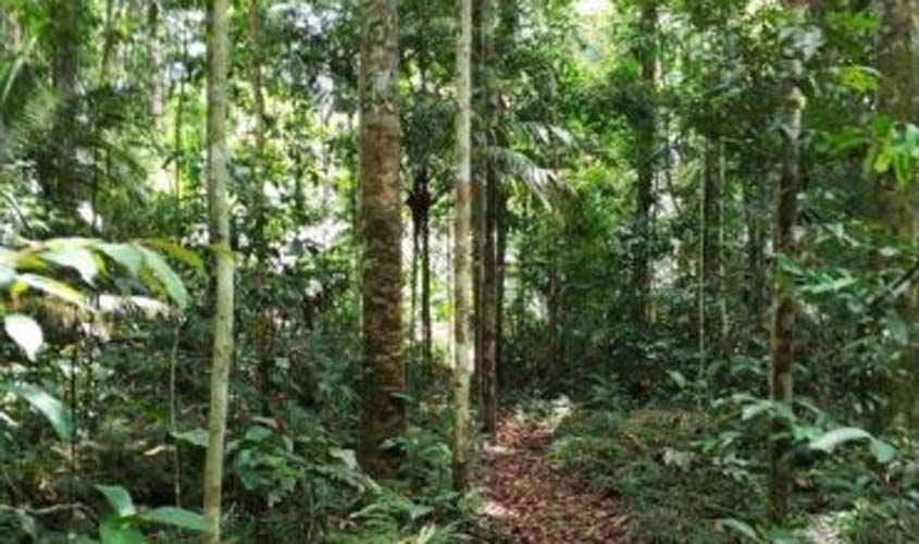 Estudo da Fiocruz em Rondônia mostra avanços no conhecimento dos transmissores de leishmaniose