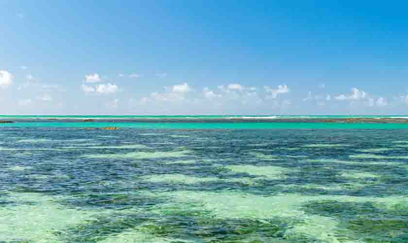 Maragogi: o caribe brasileiro que você precisa conhecer