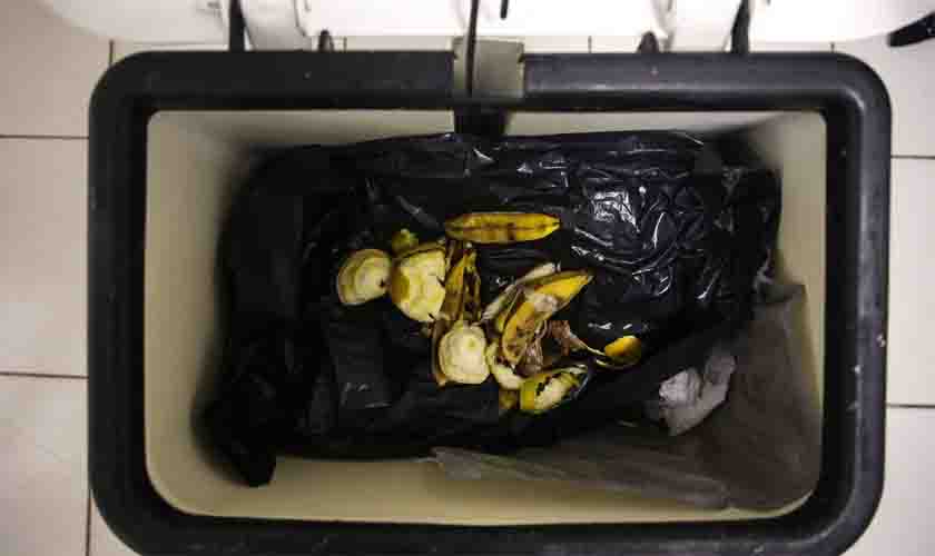 Agência Brasil explica como fazer compostagem de resíduos orgânicos