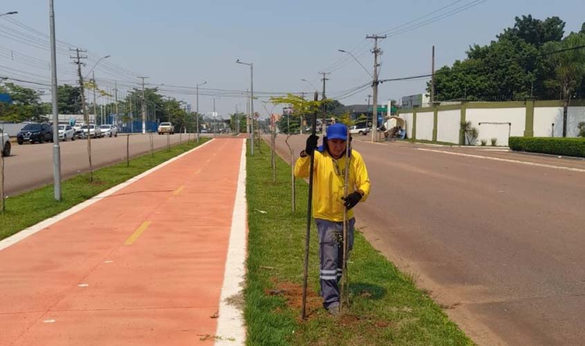 Prefeitura inicia Plano de Arborização com reposição de mudas em ciclovias