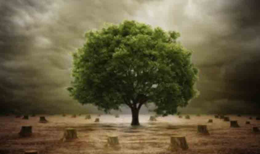 Ministério Público vai à Justiça para impedir audiência pública virtual sobre projeto de hidrelétrica Tabajara