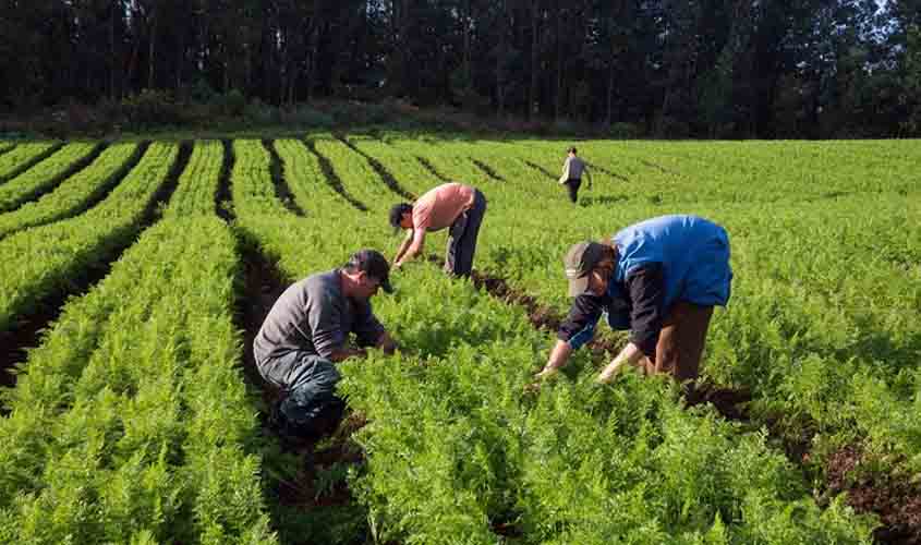 Conab e Sefin renovam regime especial para o PAA
