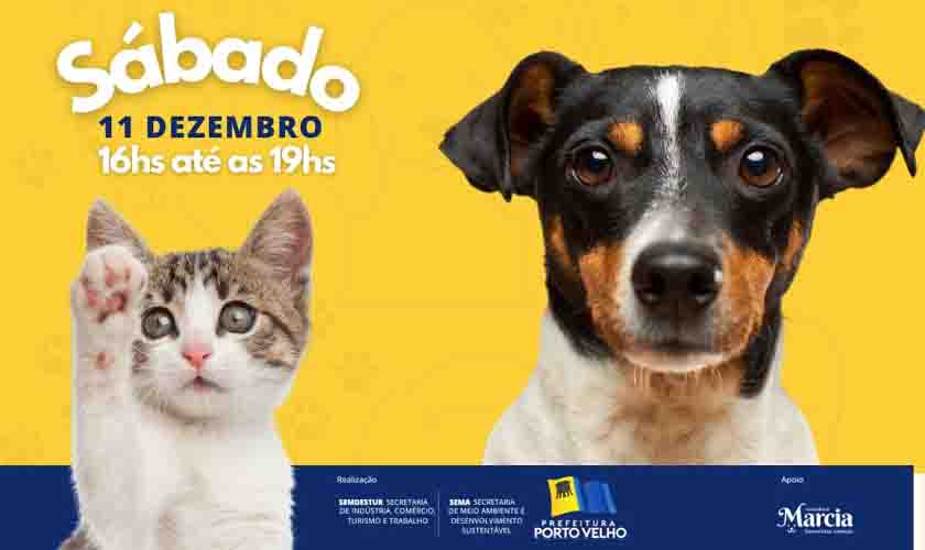 Primeira – dama incentiva adoção de cães e gatos