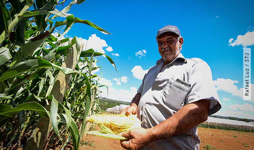 O trabalhador rural e a luta pela aposentadoria em regime especial