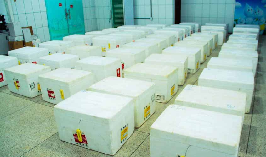 Mais de 400 mil pessoas dos grupos de prioridades devem ser imunizadas contra o vírus H1N1 em Rondônia