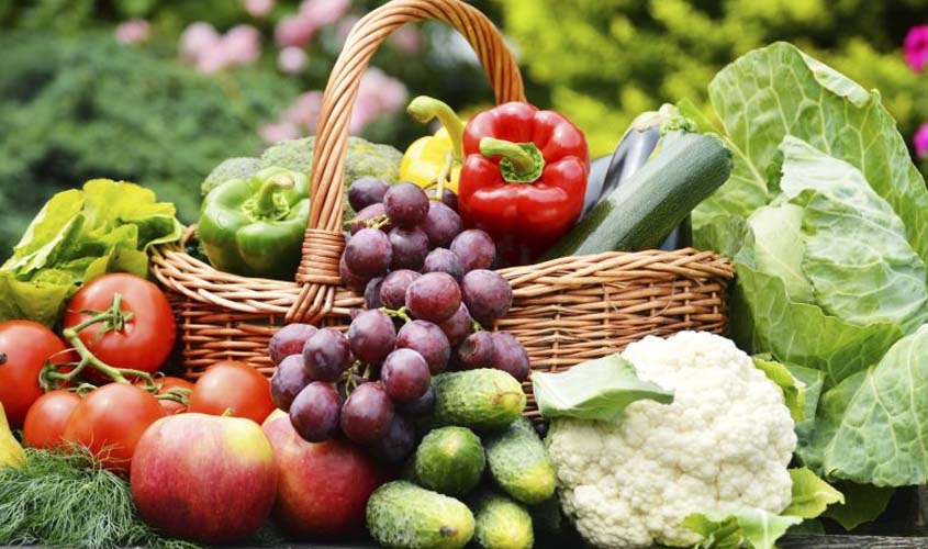 Seagri produz Termo de Referência para criação de projeto da Ceasa Rondônia