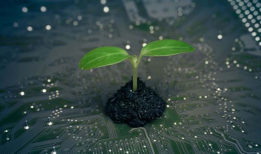 Evento Com Transmissão Online Reúne Especialistas Em Inovação E Agronegócio