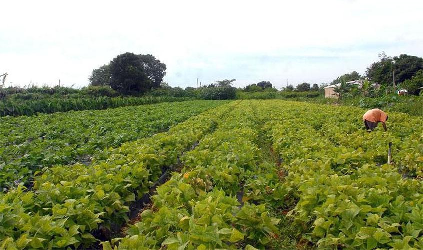 Mapa realiza audiências públicas sobre questões fundiárias