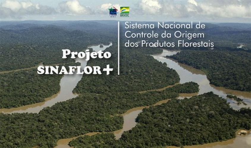 Ibama lança sistema digital antifraude para controle da madeira