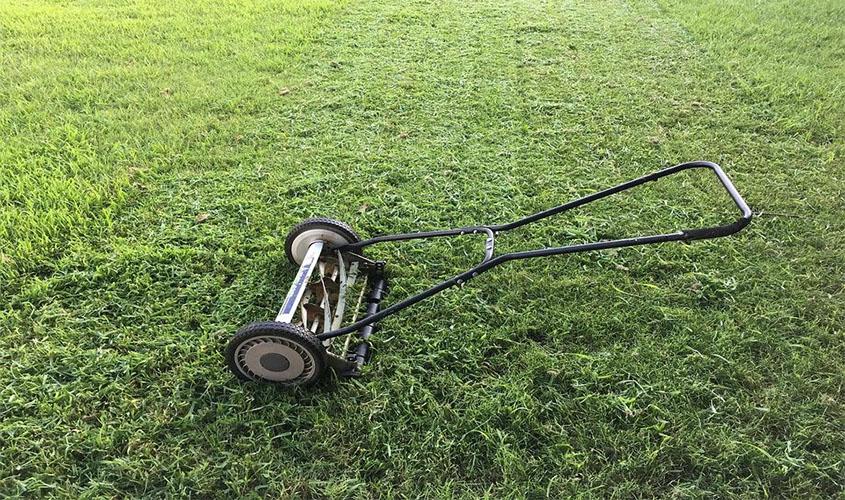 Confira as nossas dicas para te ajudar na escolha do cortador de grama